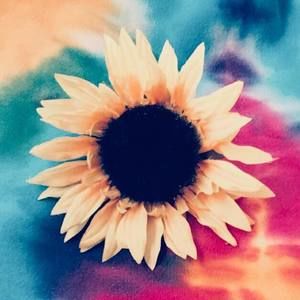 Meet your Posher, Bridget